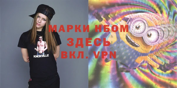 шишки Нея