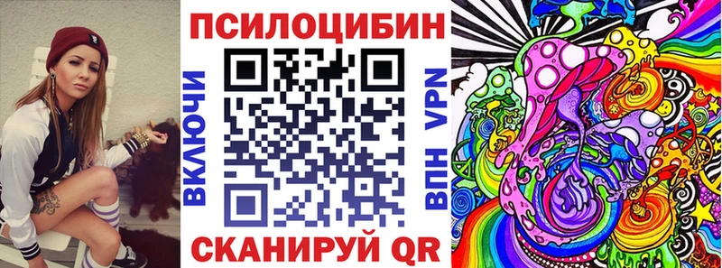 Псилоцибиновые грибы Psilocybe  Чадан 