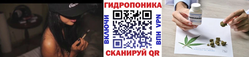 Конопля тримм Чадан